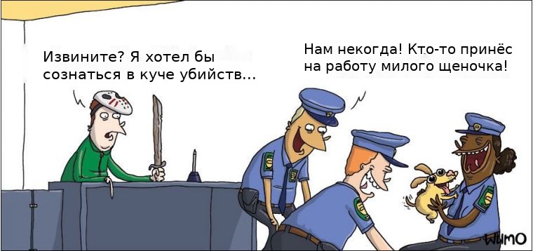 translated